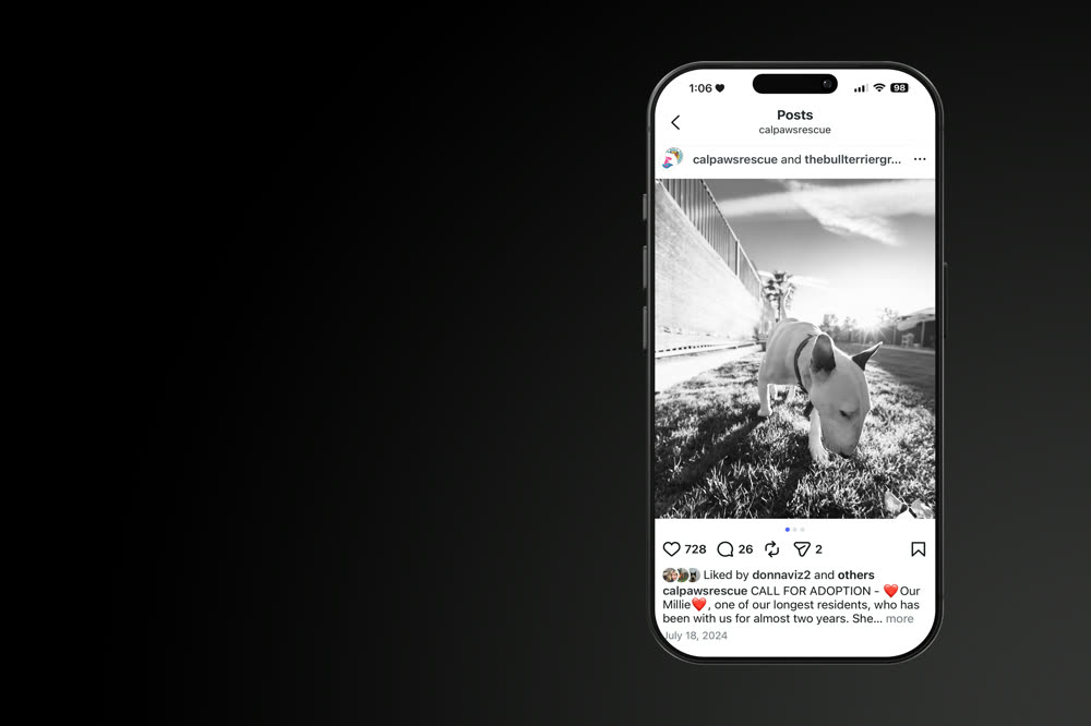 Social media strategy and campaign creative by Dark Matter Studio